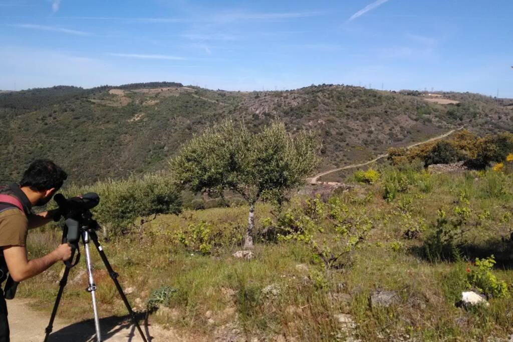 Refugio Do Douro Guest House Bemposta  Esterno foto