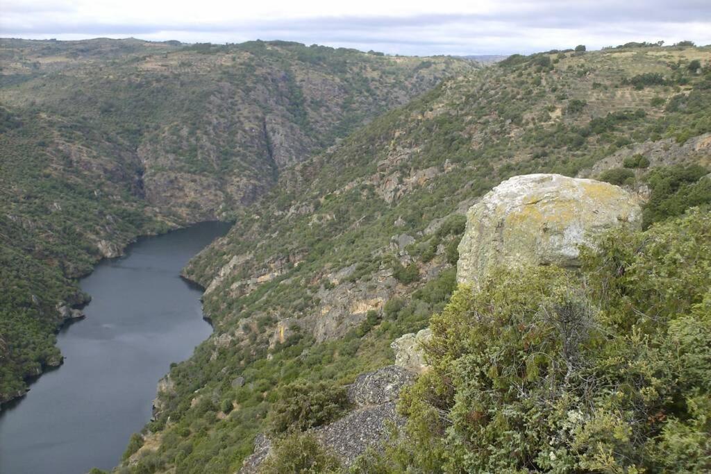 Refugio Do Douro Guest House Bemposta  Esterno foto